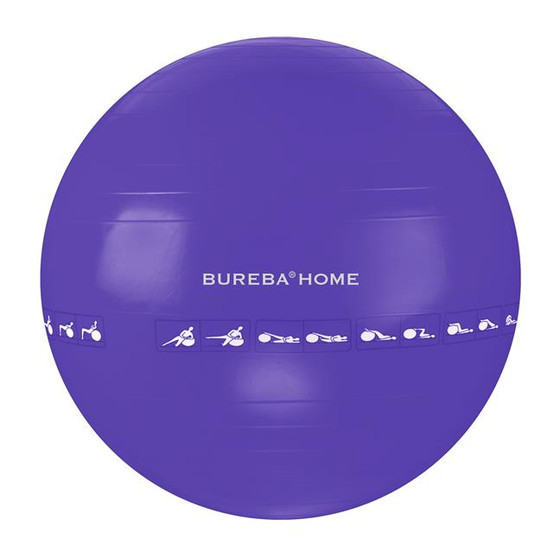 Bureba® Ball Home 65 cm Lila